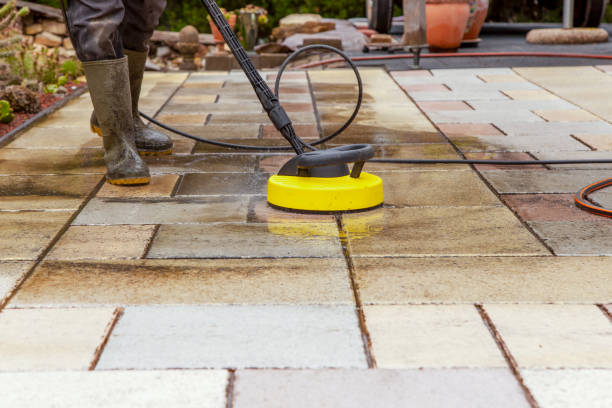 Best Animal Enclosure Cleaning  in Coleman, TX